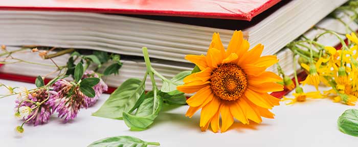 schoolbook with flowers and herbs on it