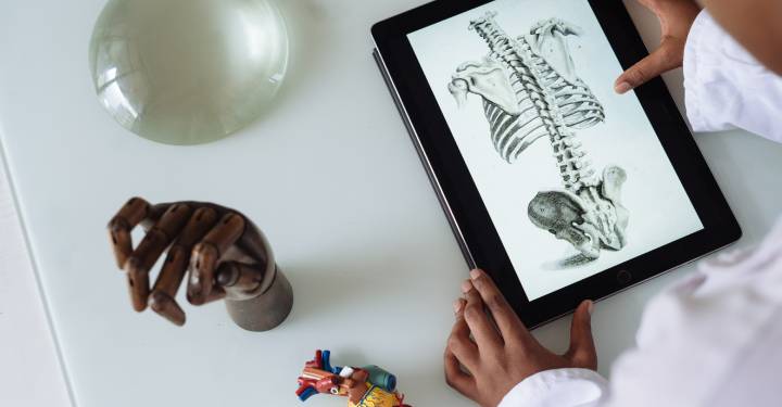 student looking at human anatomy on a tablet
